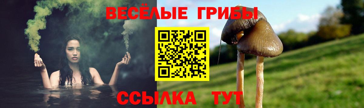Асбест  Галлюциногенные грибы MAGIC MUSHROOMS  купить наркоту  Вход с VPN 